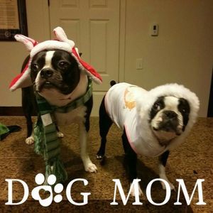 Meet your Posher, Lori